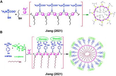 Synthetic approaches to metal-coordination-directed macrocyclic complexes